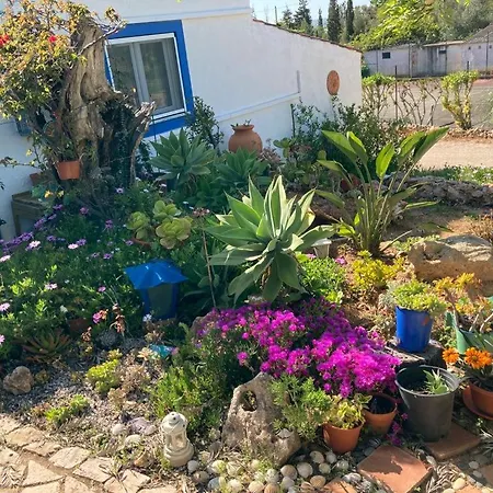 Casa Joy Guia (Faro)