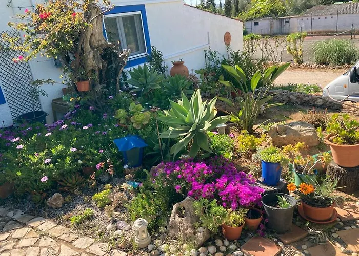 Casa Joy Guia (Faro)